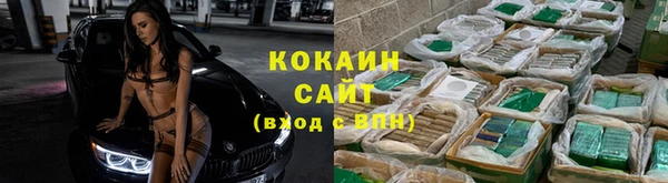 прущие крисы Алексин