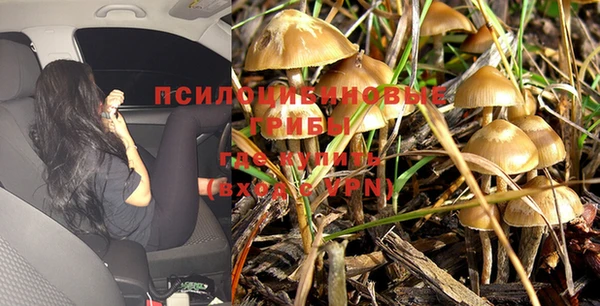 прущие крисы Алексин