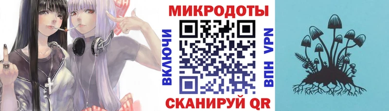 Галлюциногенные грибы мицелий  Новая Ладога 
